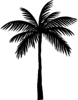 a black and white silhouette of a palm tree