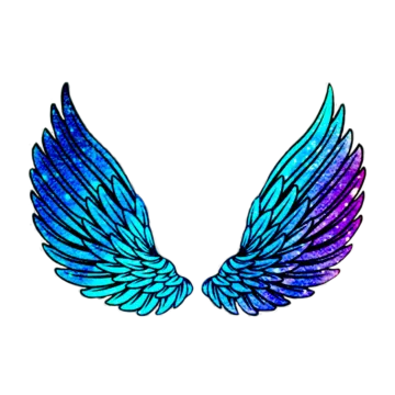 a pair of blue and purple wings