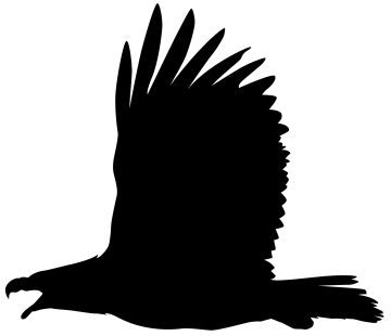an eagle silhouetted on a white background