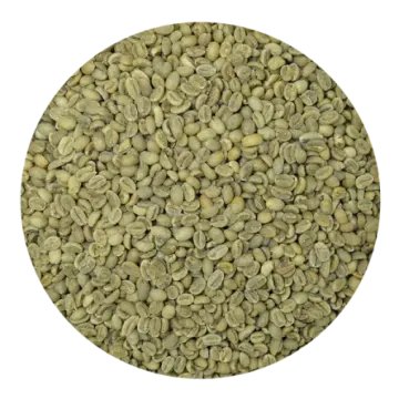 a pile of green coffee beans