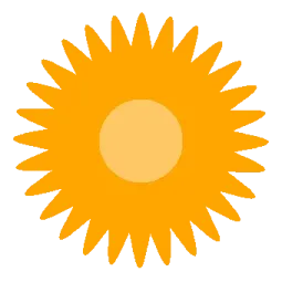 a sunflower on a white background