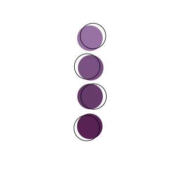 a drawing of three circles on a white background