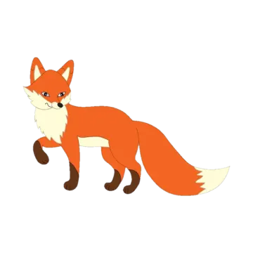 a red fox standing in front of white background