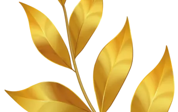 a golden leaf on white background
