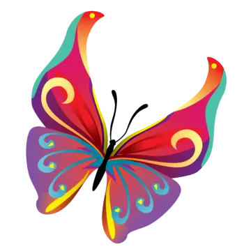 a colorful butterfly on a white background