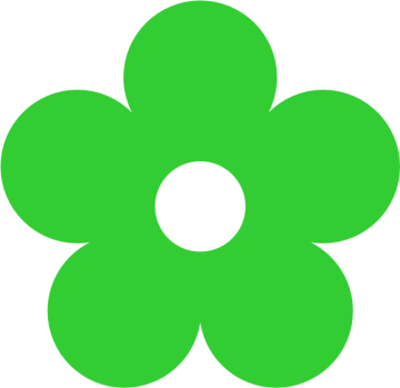 a green flower on a white background