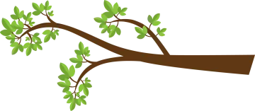 a branch with green leaves on it