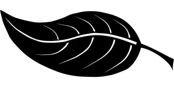 a black and white leaf icon