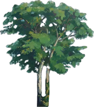 a painting of a tree on a white background