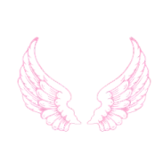a drawing of two wings