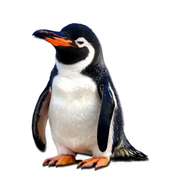 a close up of a penguin on a white background