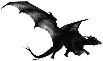 a black and white photo of a dragon