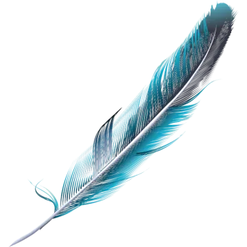 a blue feather on a white background