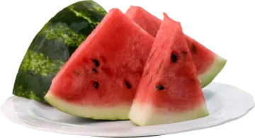 two slices of watermel on a plate