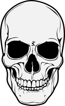 a black and white drawing of a skull