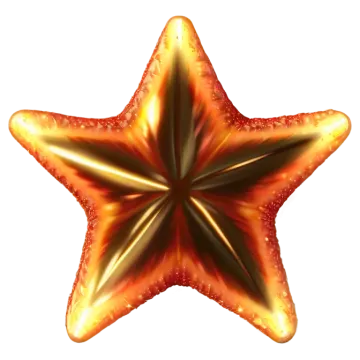 a red star with gold stars on it