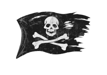 a pirate flag with a skull on it