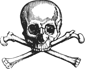 a skull and cross bones on a white background
