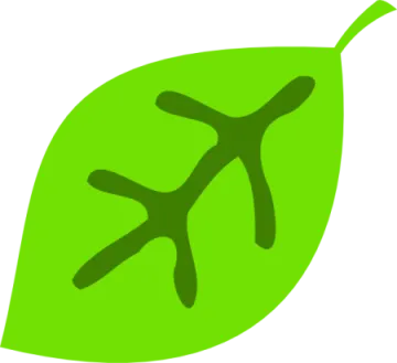 a green leaf with two leaves on it