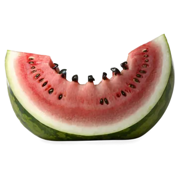 a slice of watermelon