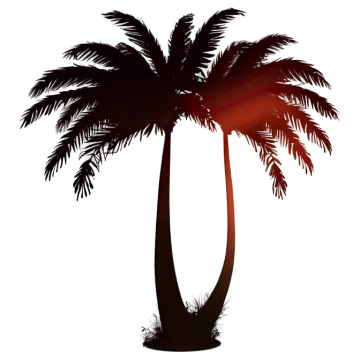 a silhouette of a palm tree on a white background