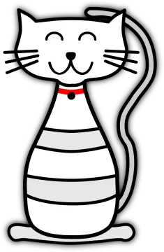 a black and white cat with a red collar