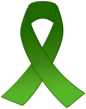 a green ribbon on a white background