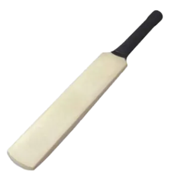a cricket bat on a white background