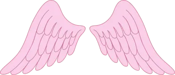 a pair of pink angel wings