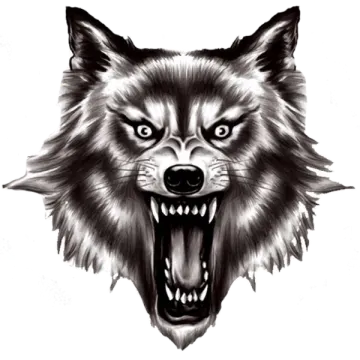 a black and white drawing of a snarl wolf