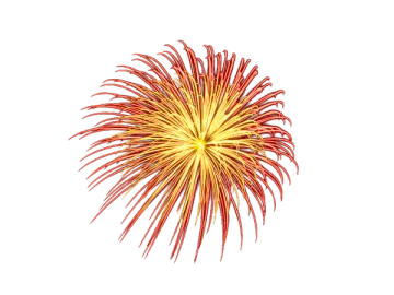a red and yellow fireworks on a white background