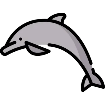 a dolphin jumping out of the water