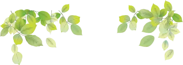 two green leaves on a white background