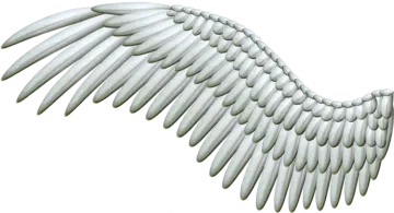 an image of a white angel wing