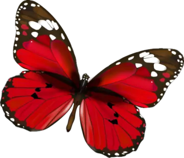 a red butterfly with black and white spots