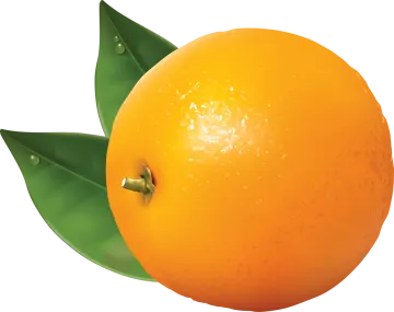 an orange with a leaf on it