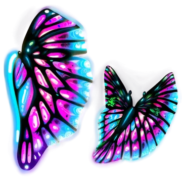 a pair of butterflies