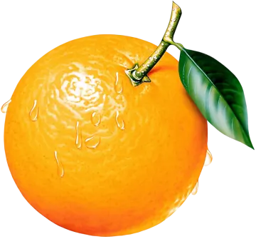 an orange with a leaf on it
