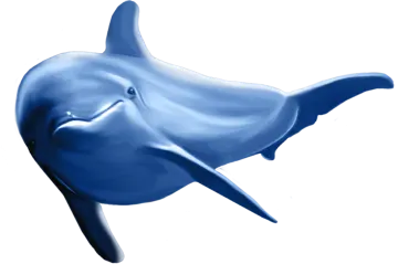 a blue dolphin swimming in the ocean