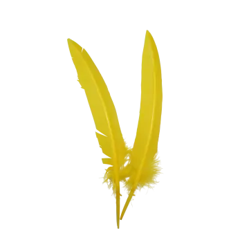 a yellow feather on a white background
