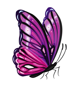 a purple butterfly on a white background