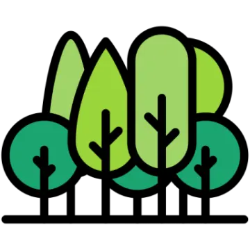 a line of trees with green leaves