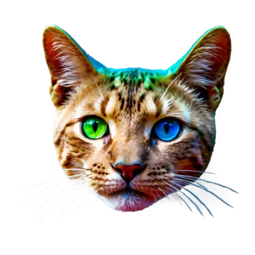 a close up of a cat's face with green eyes