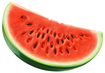 a slice of watermelon