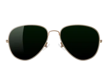 a pair of sunglasses on a white background