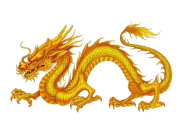 a yellow dragon on a white background