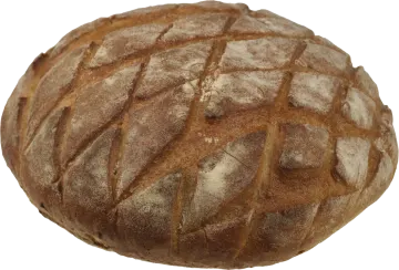 a loaf of bread on a white background