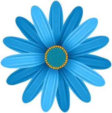 a blue flower on a white background