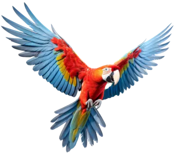 a blue and yellow parrot flying in the air