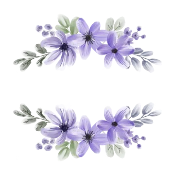 a set of watercolor flowers on white background
